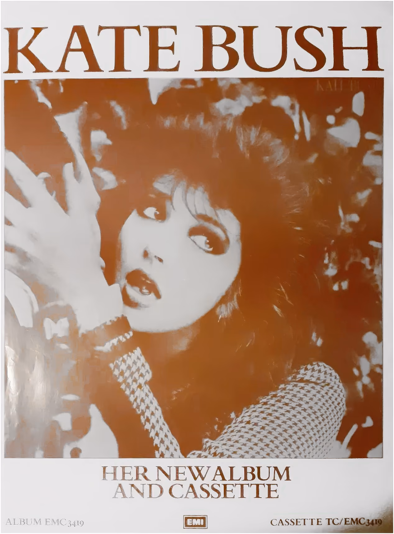 'The Dreaming' Album Poster