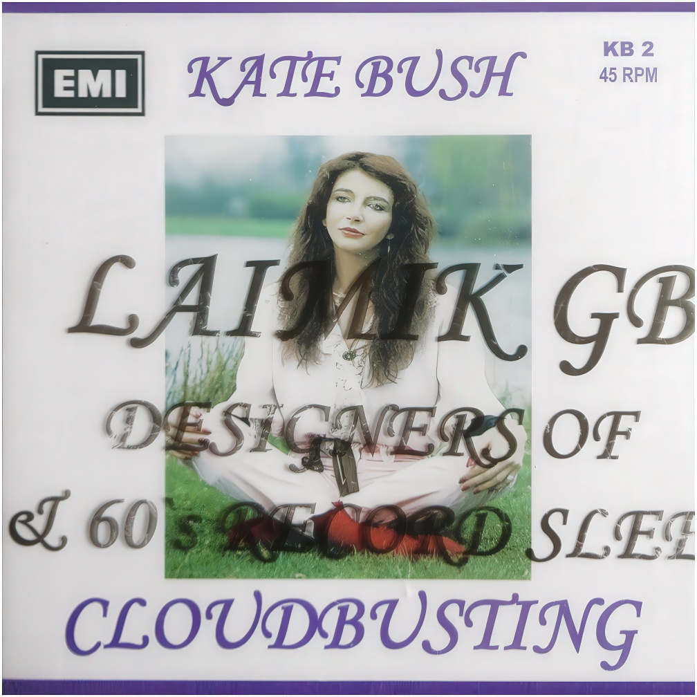 'Cloudbusting' Unofficial Vinyl Sleeve