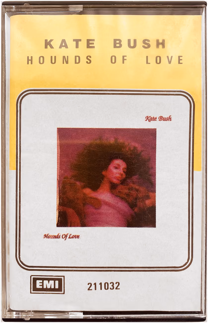 Hounds Of Love