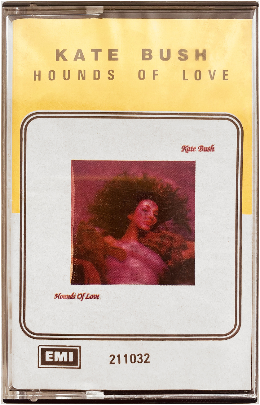 Hounds Of Love