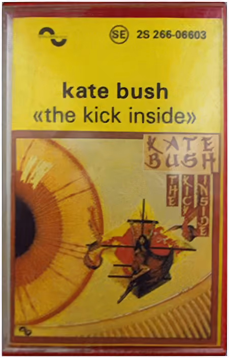 The Kick Inside