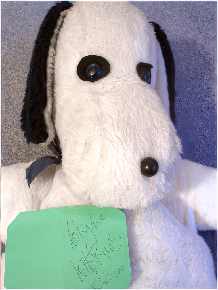 'Snoopy' Signed Soft Toy