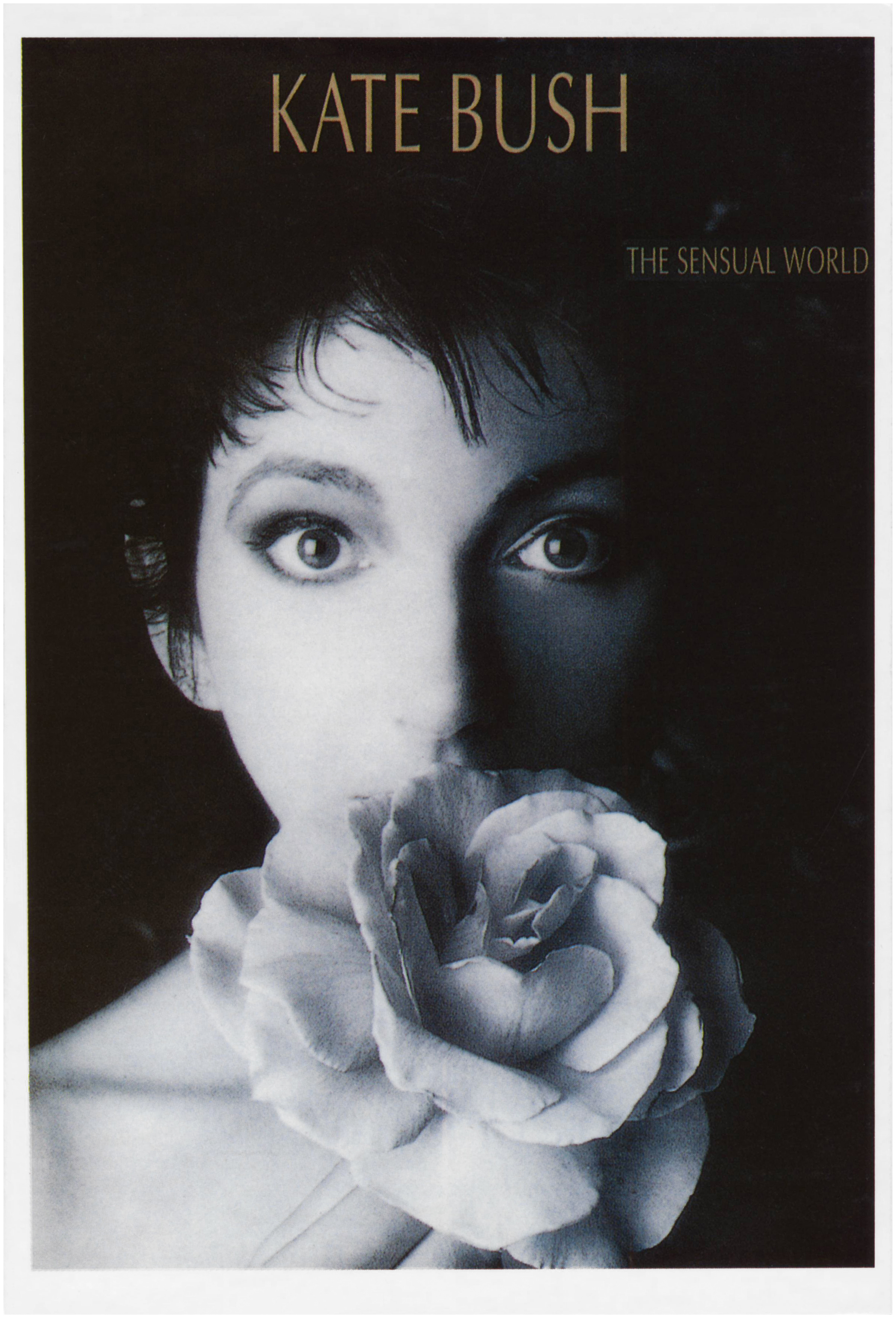 'The Sensual World' Album Postcard