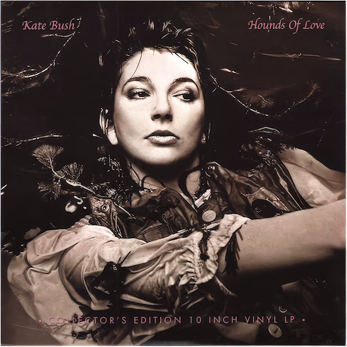 Hounds Of Love