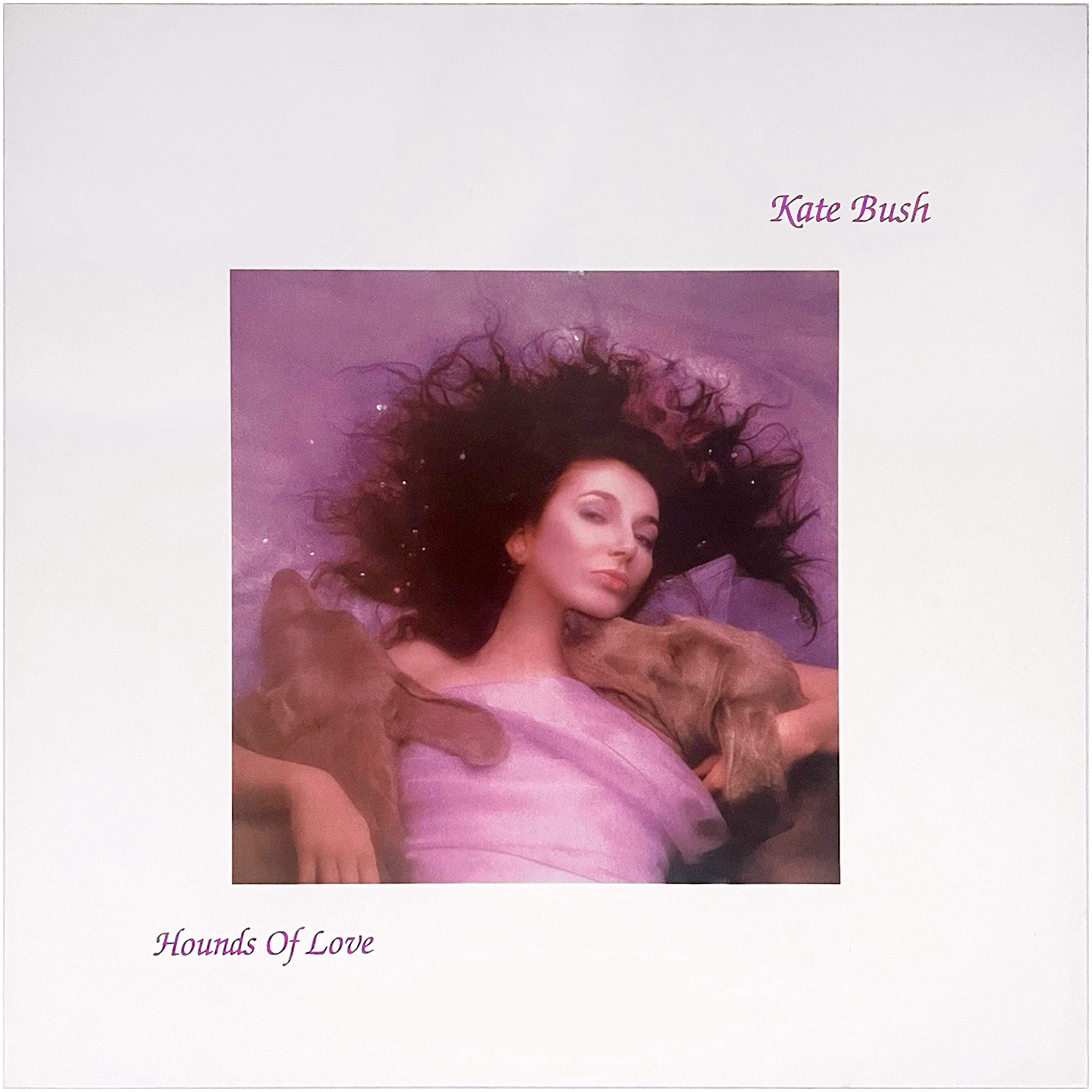 'Hounds Of Love' Album Display Flat