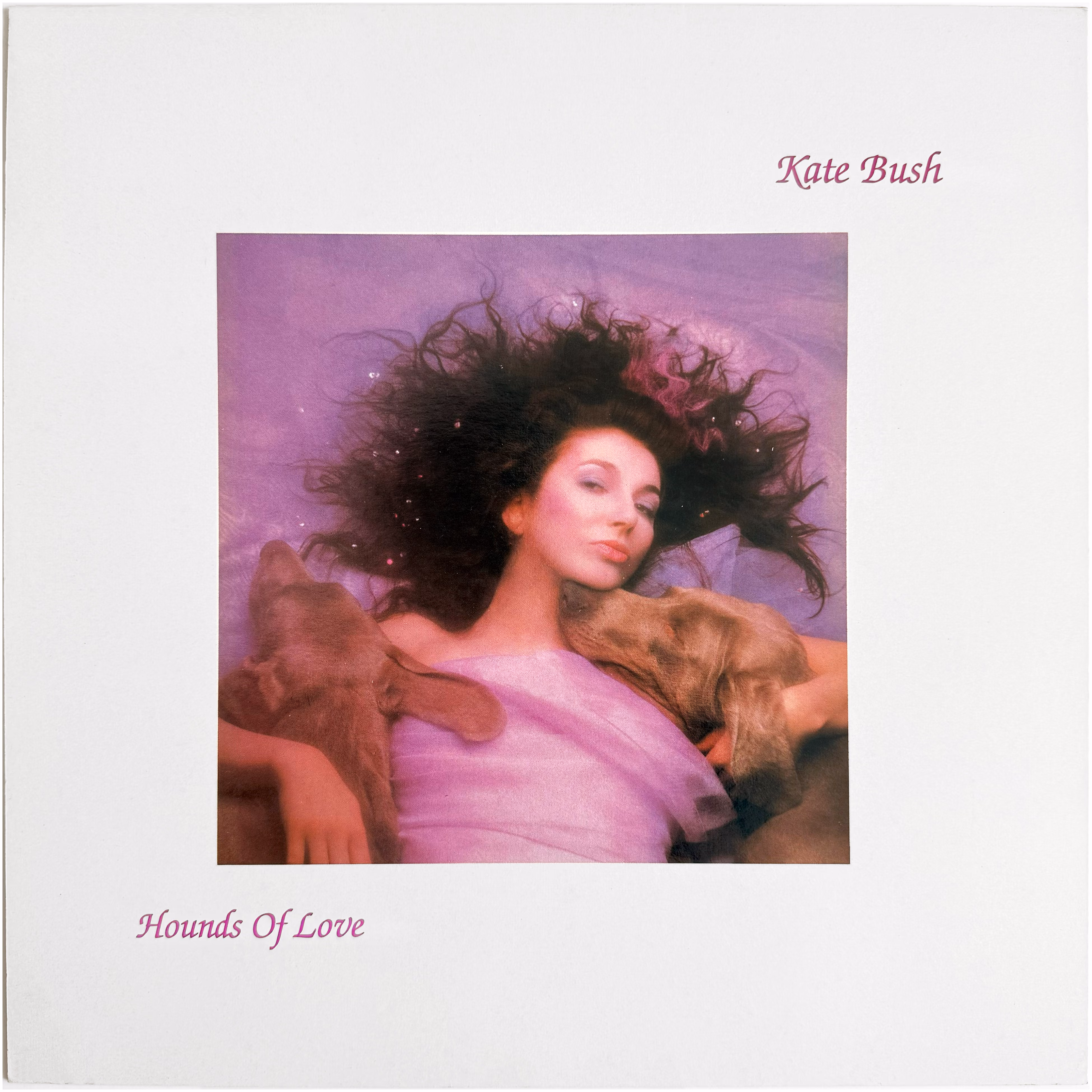 'Hounds Of Love' Album Display Flat