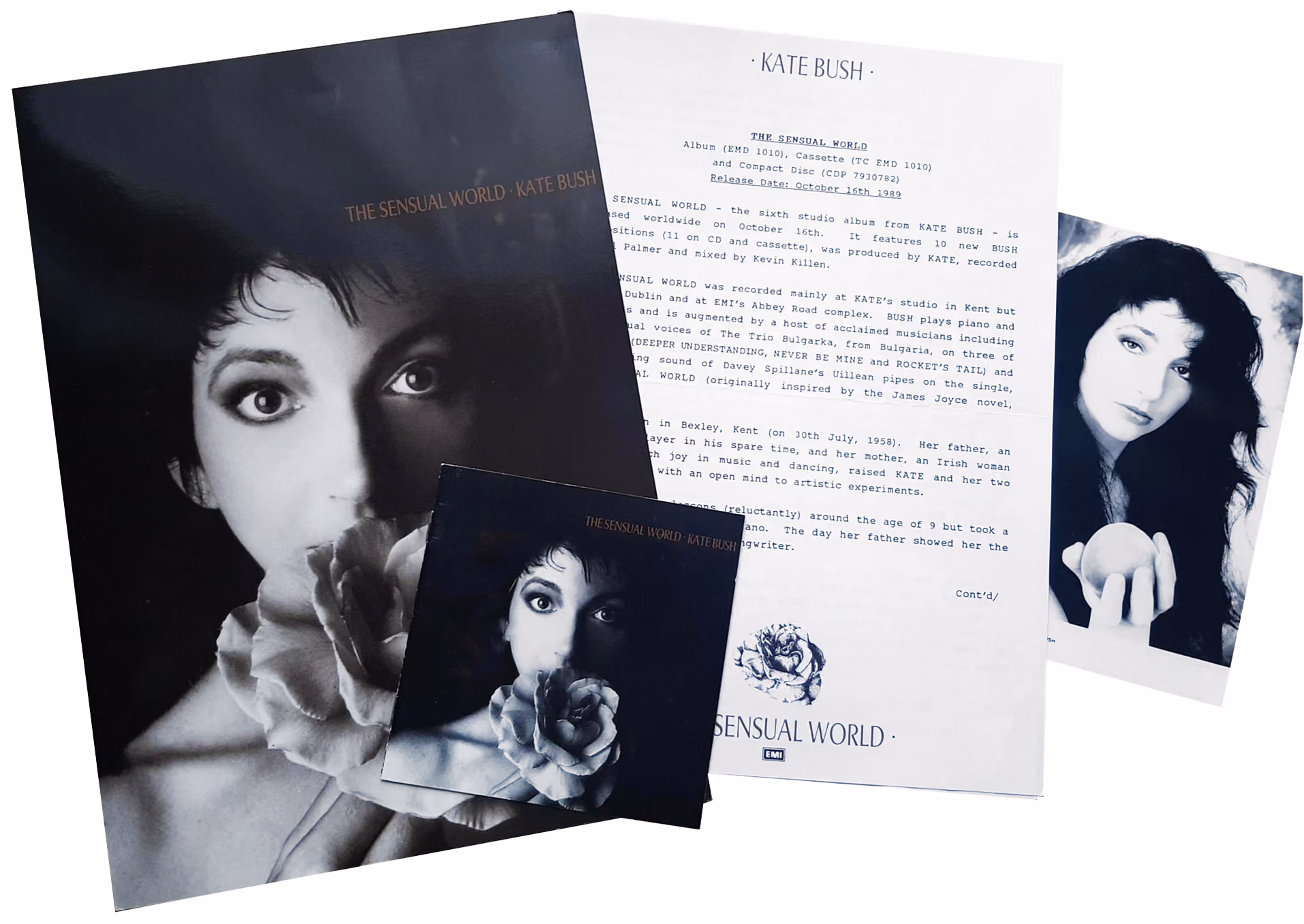 'The Sensual World' Album Press Kit