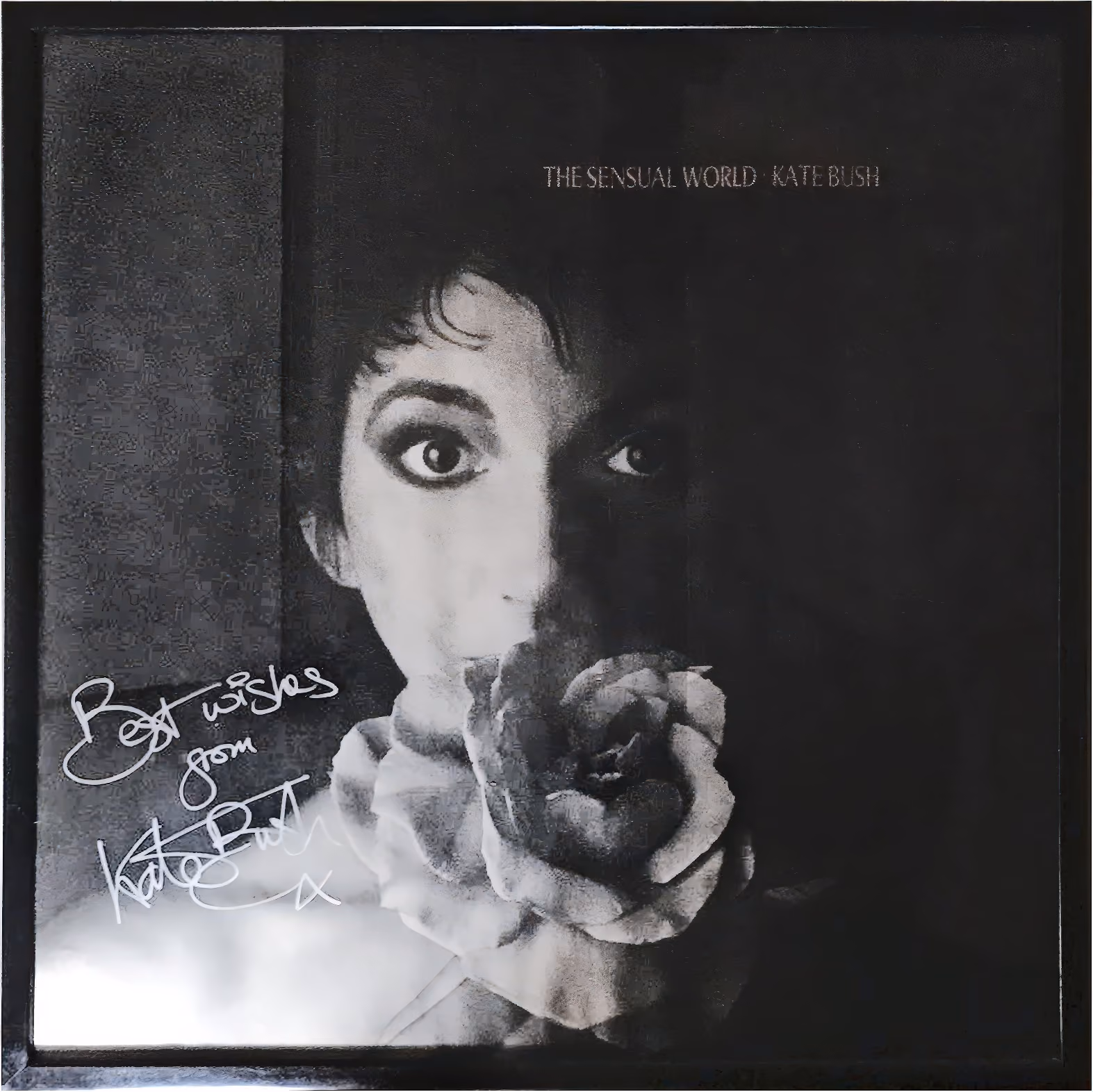 'The Sensual World' Signed Album Poster