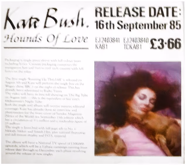 'Hounds Of Love' Album Marketing Plan