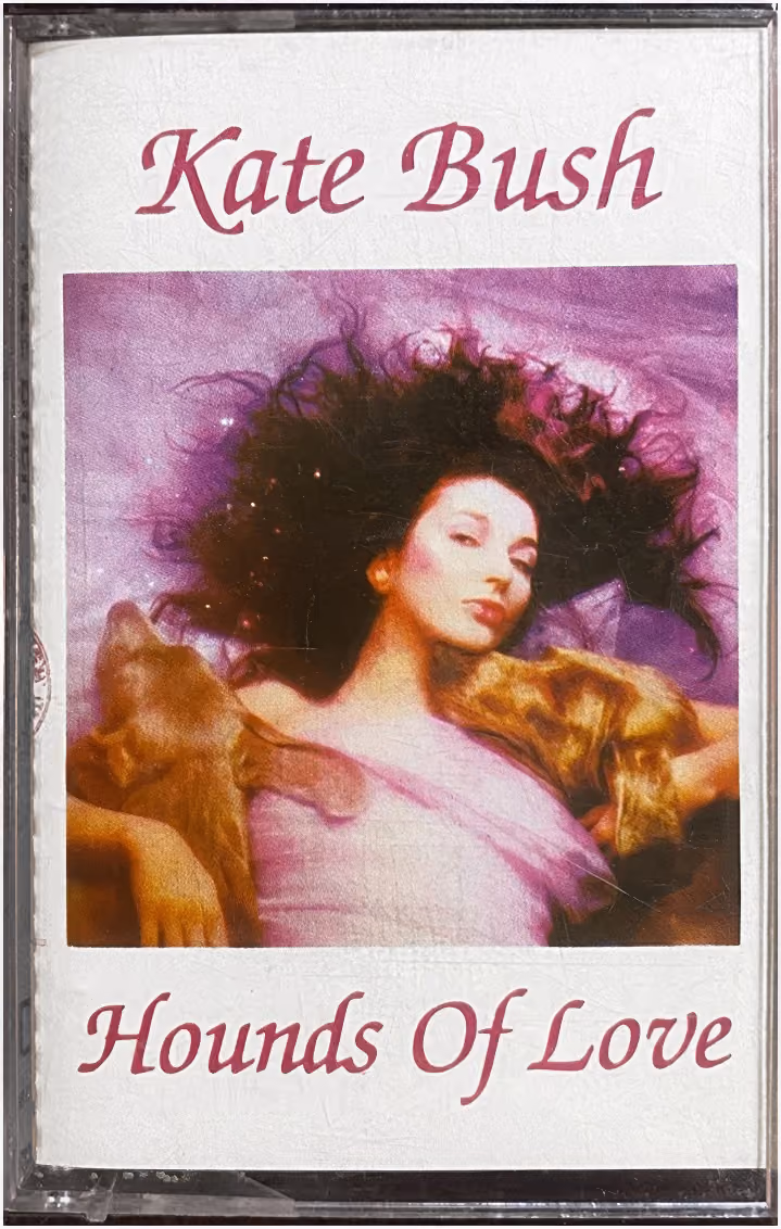 Hounds Of Love