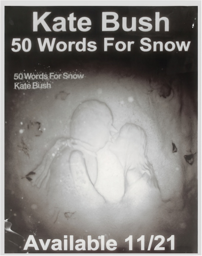 '50 Words For Snow' Plastic Poster