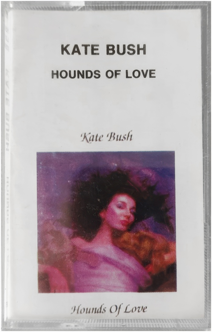 Hounds Of Love