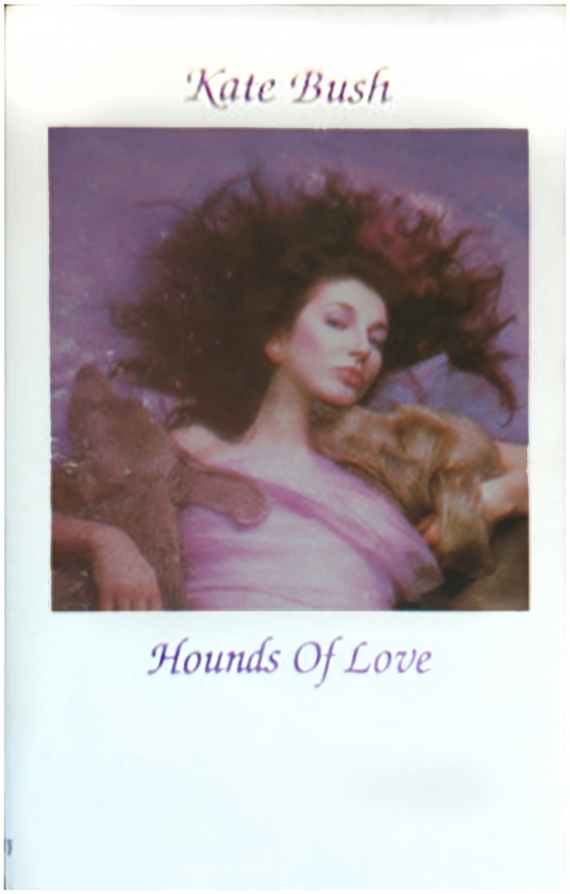 Hounds Of Love