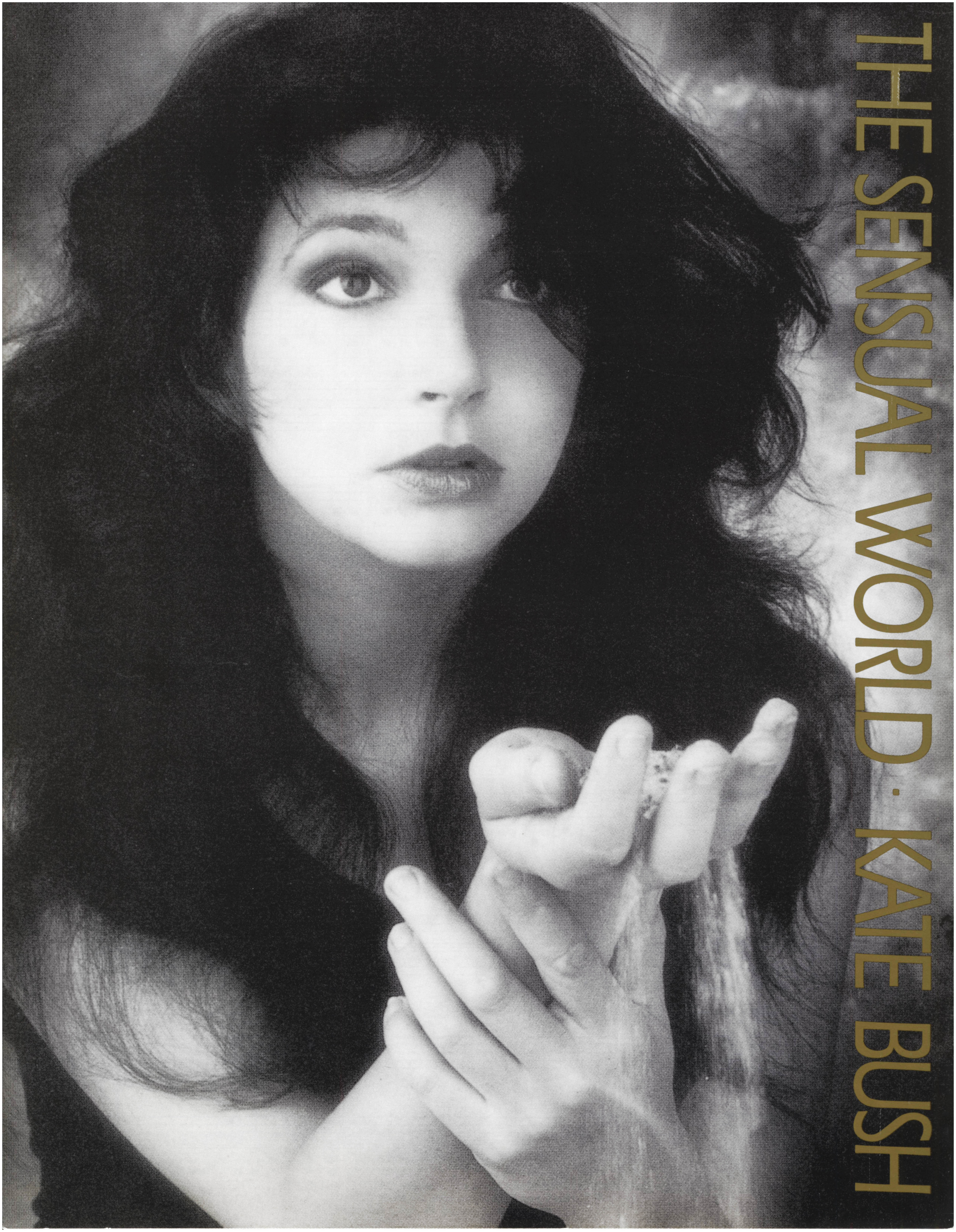 'The Sensual World' Single Sheet Music