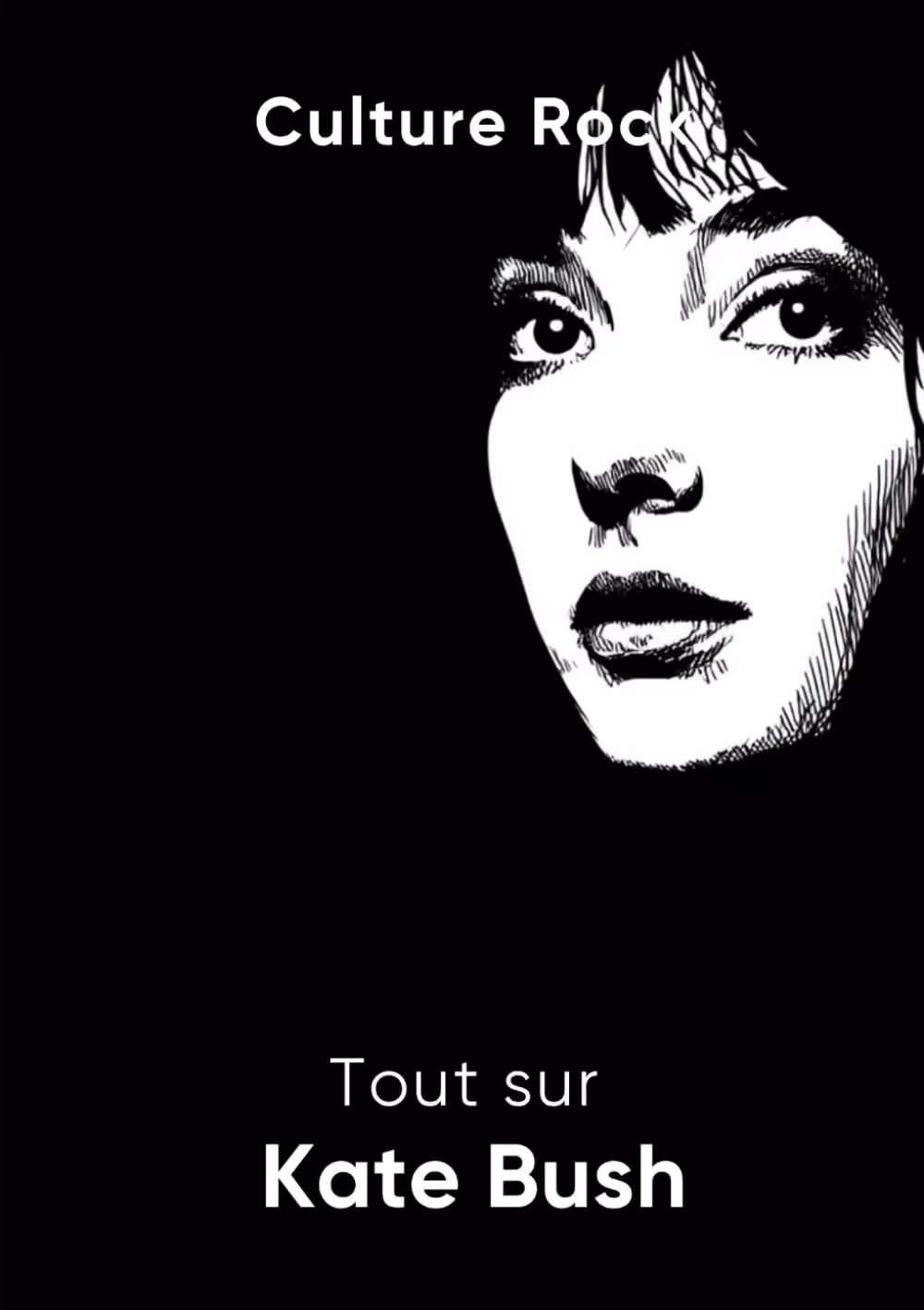 'Tout Sur Kate Bush' Book