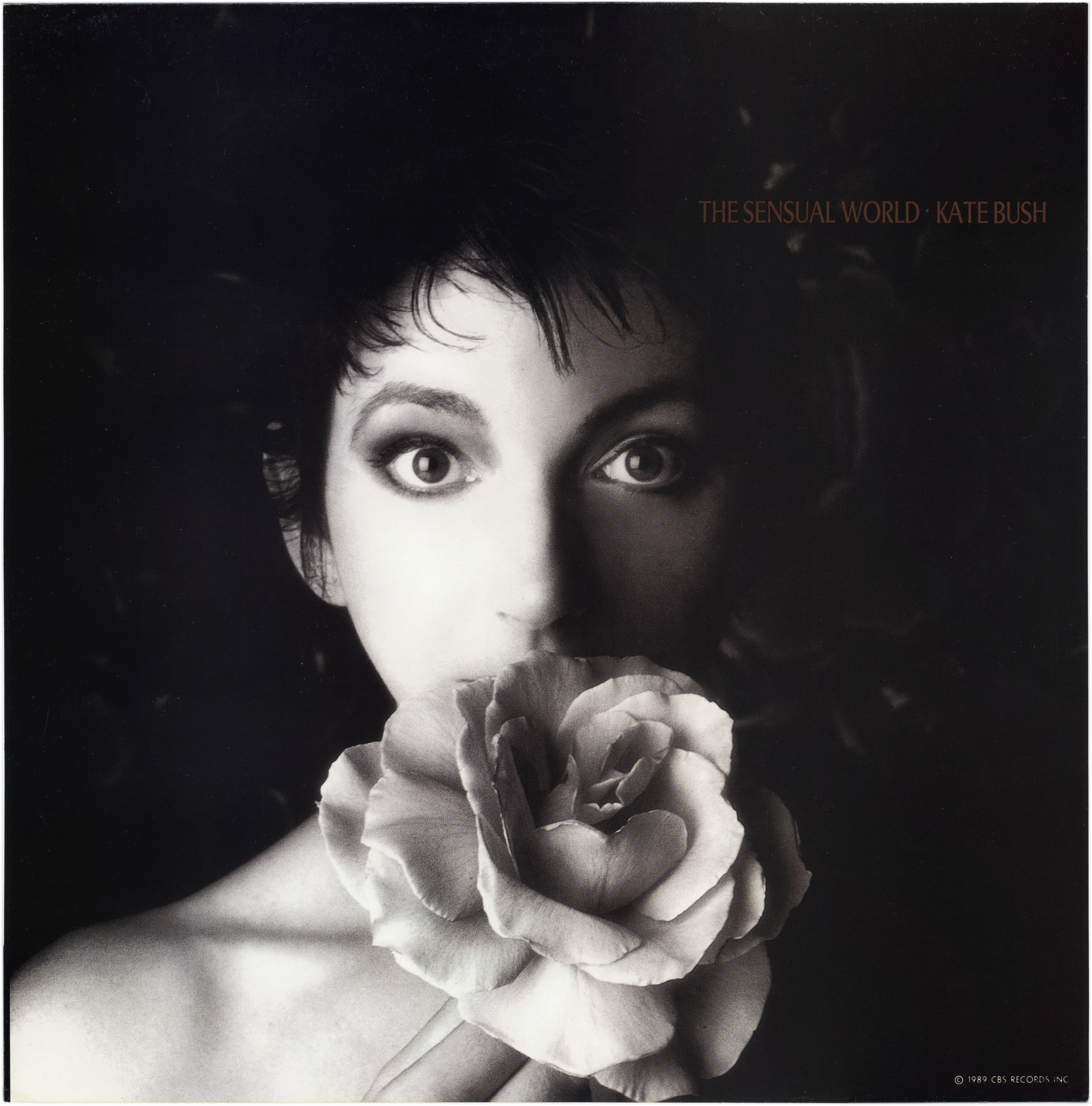 'The Sensual World' Album Display Flat