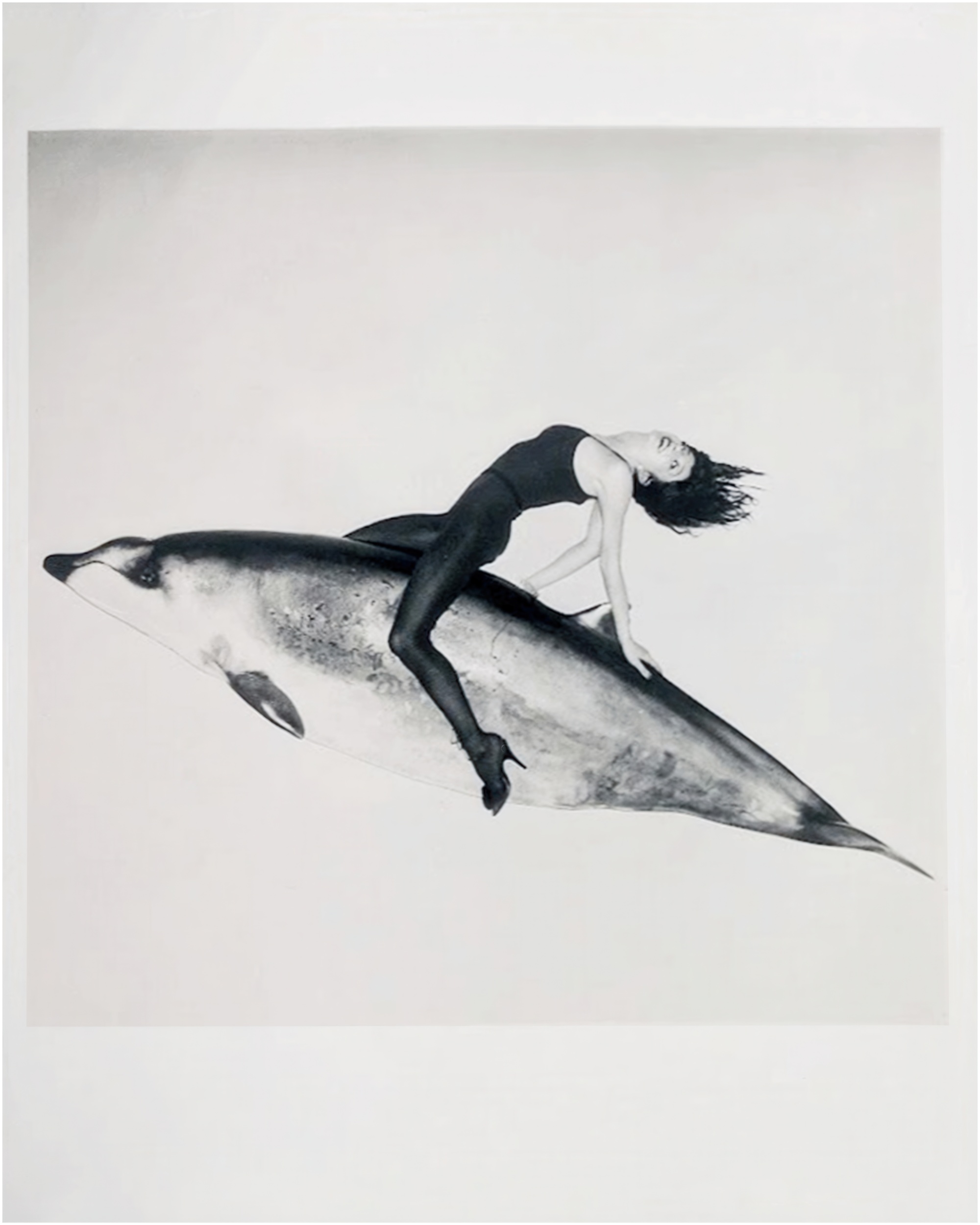 Riding A Dolphin Photograph