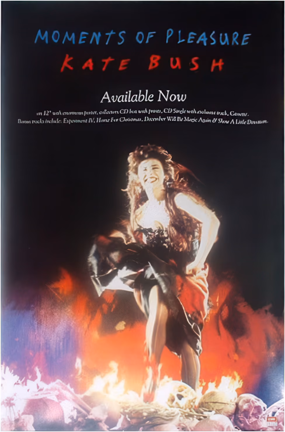 'Moments Of Pleasure' Poster
