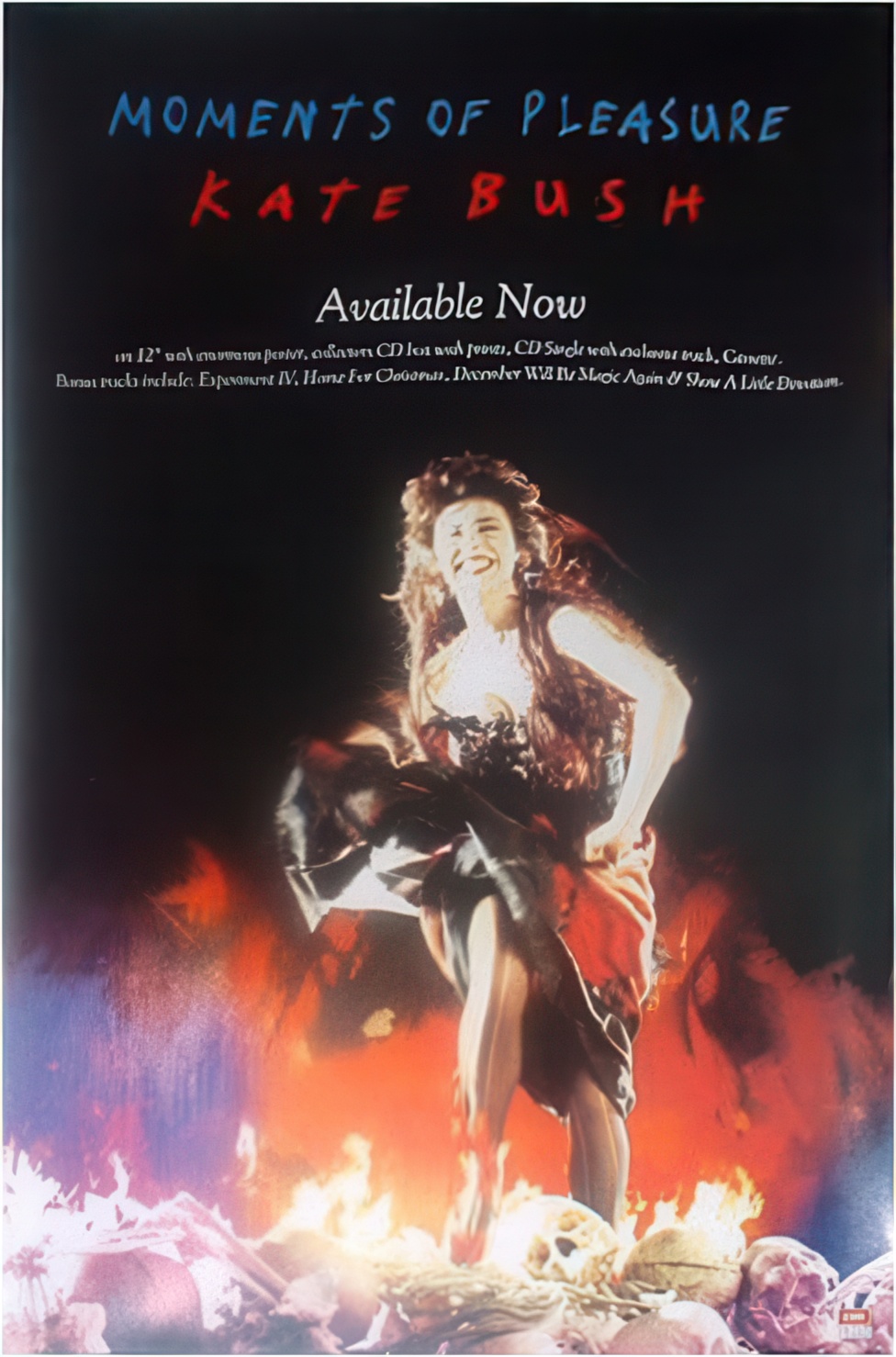 'Moments Of Pleasure' Poster