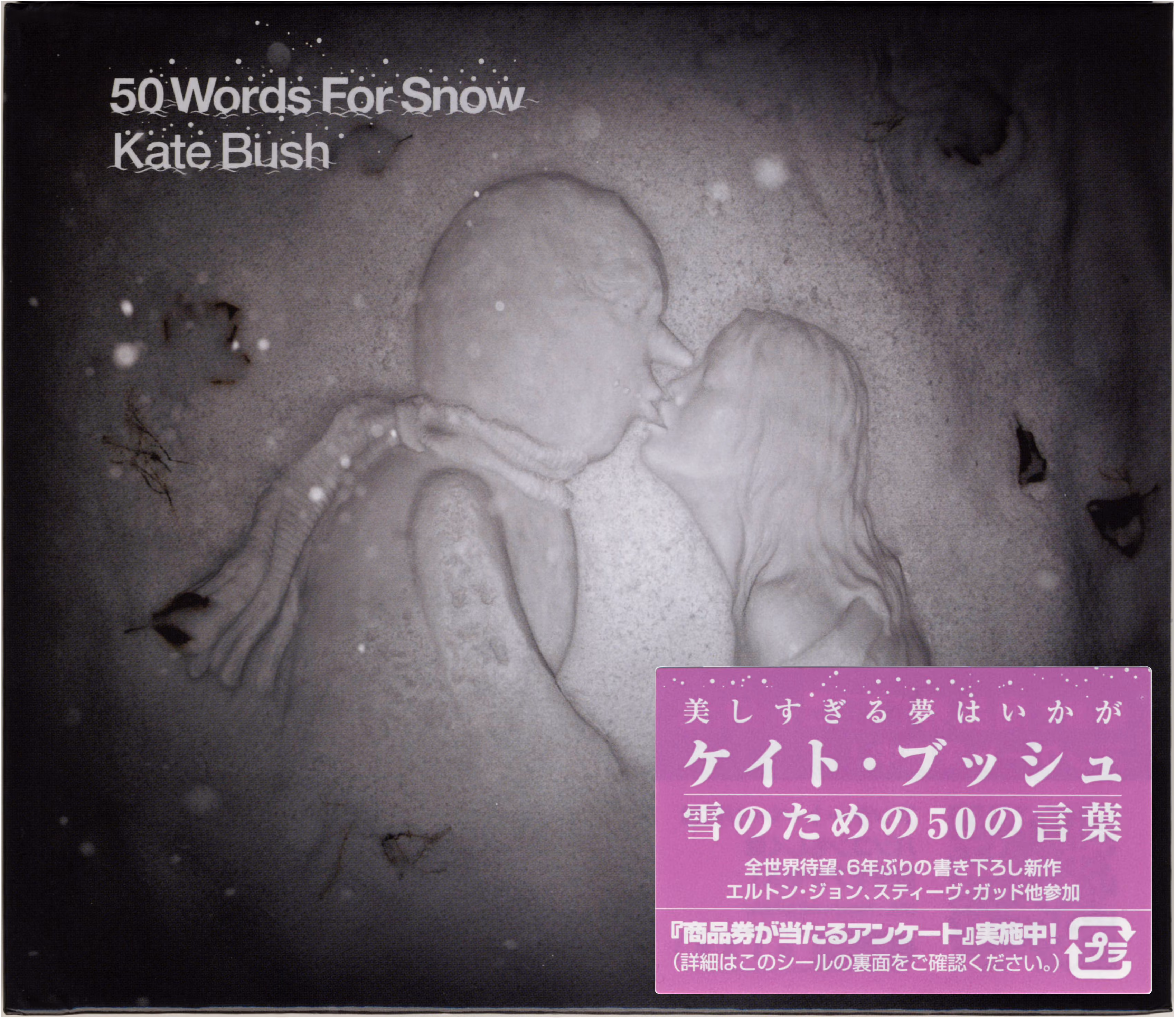 50 Words For Snow