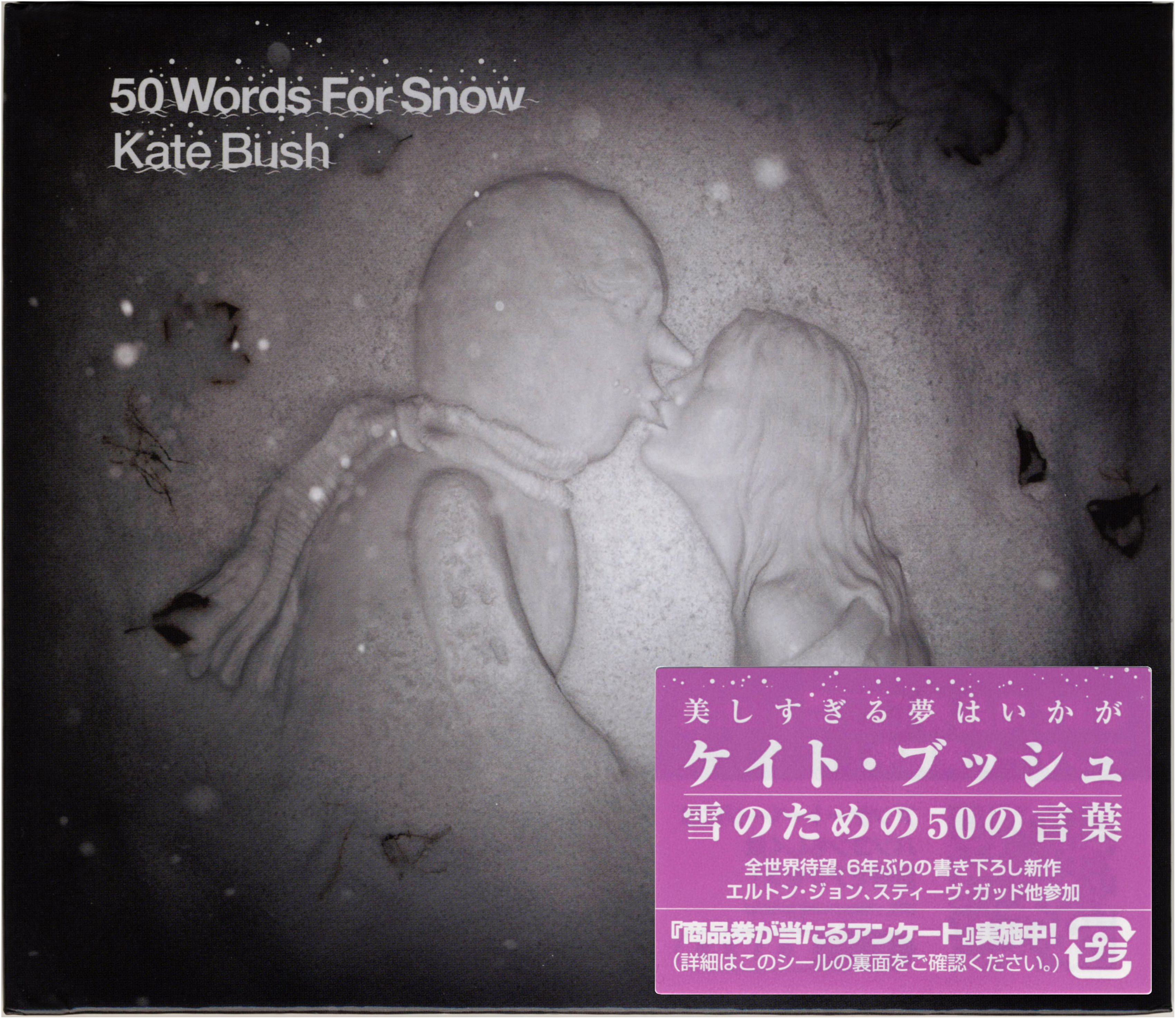 50 Words For Snow
