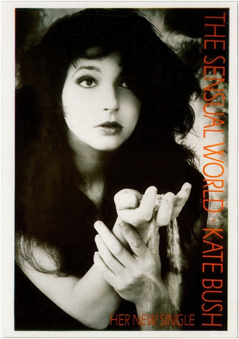 'The Sensual World' Single Postcard