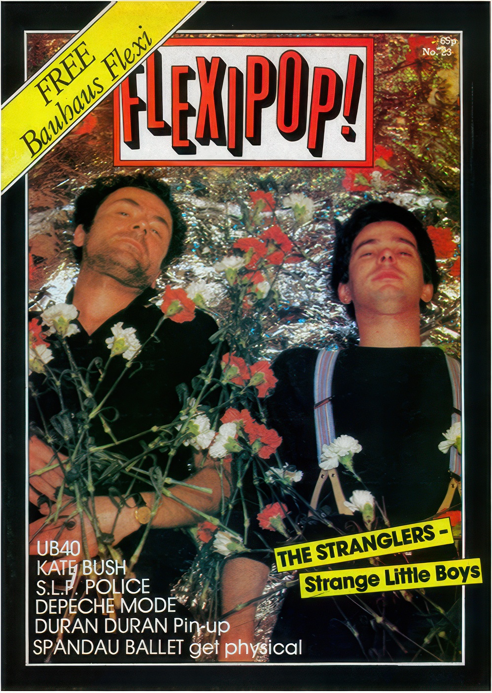 'Flexipop!' Magazine