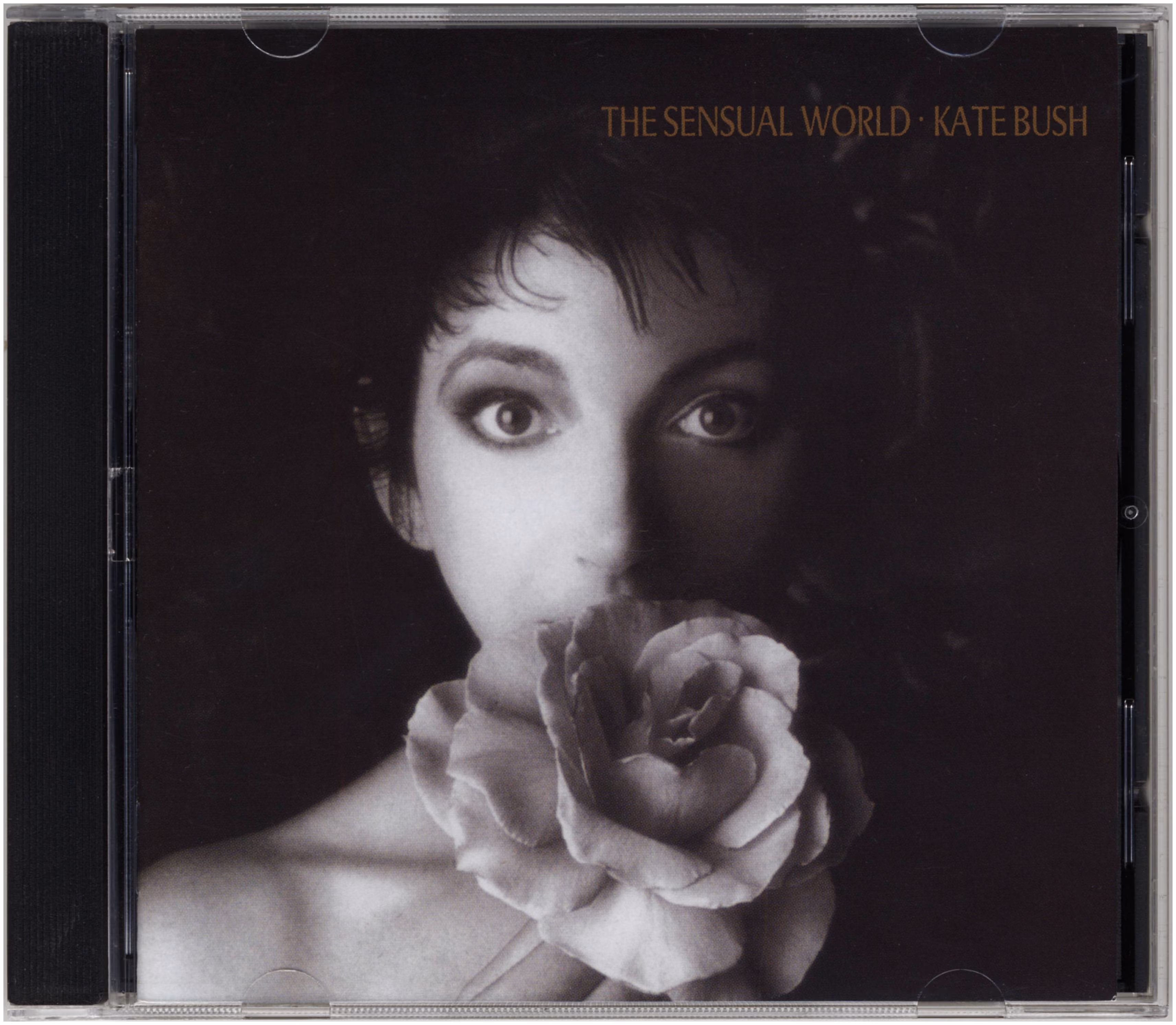 The Sensual World