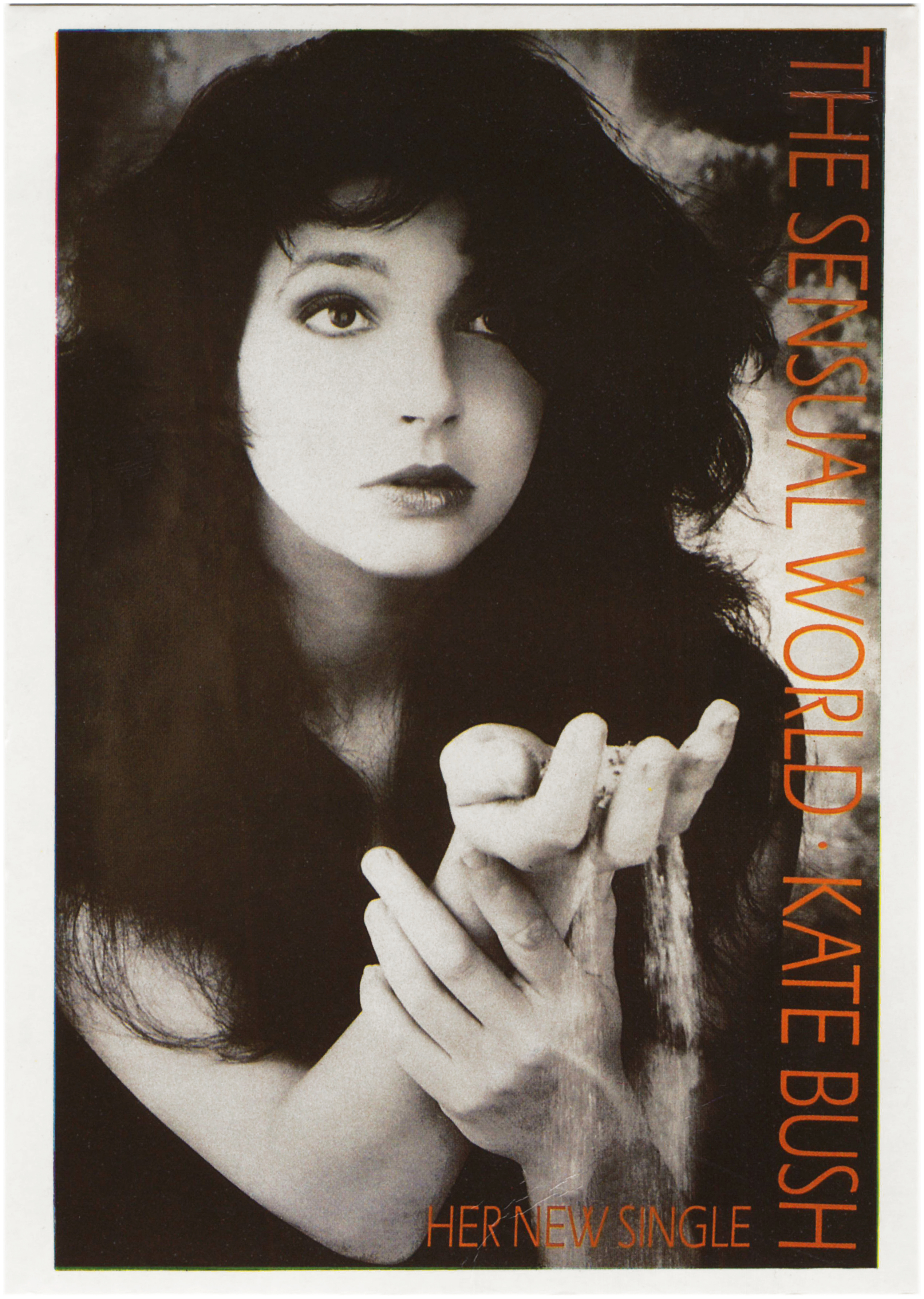 'The Sensual World' Single Postcard