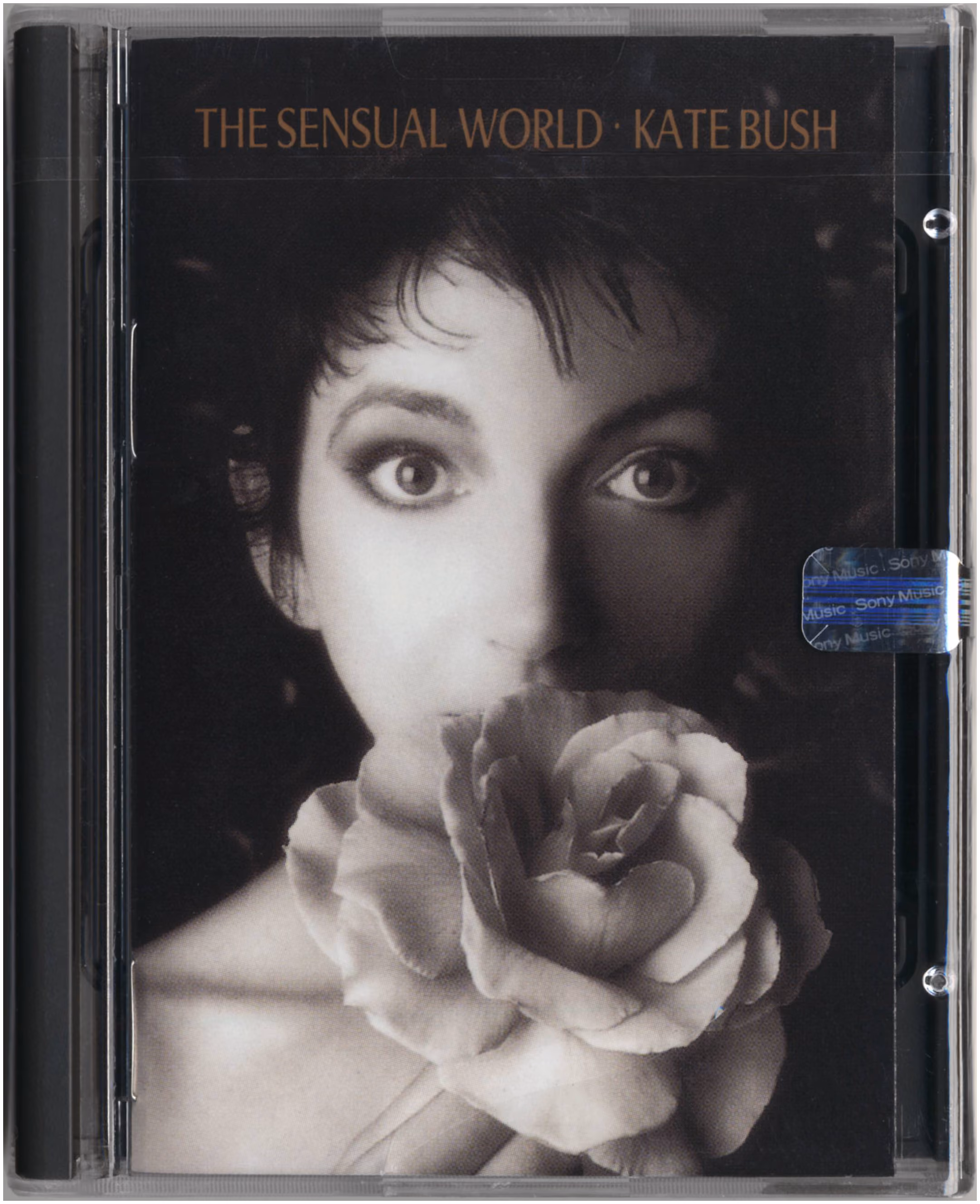 The Sensual World
