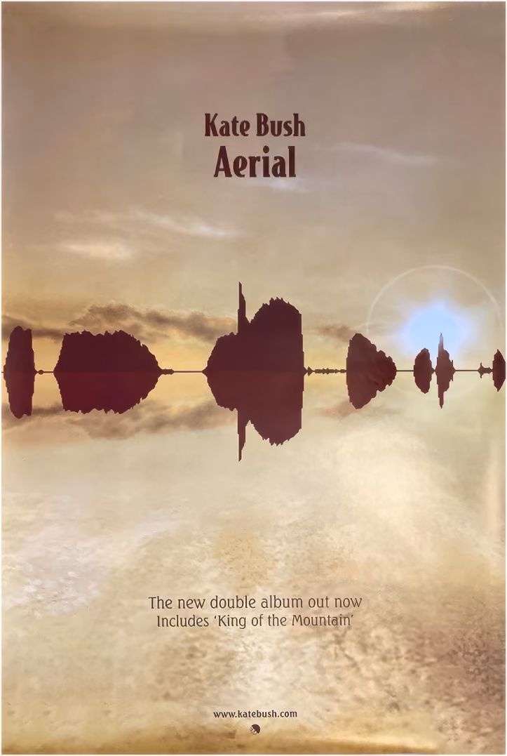 'Aerial' Poster