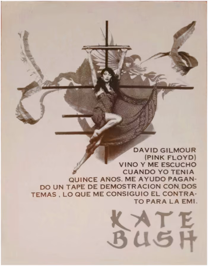 'The Kick Inside' Booklet