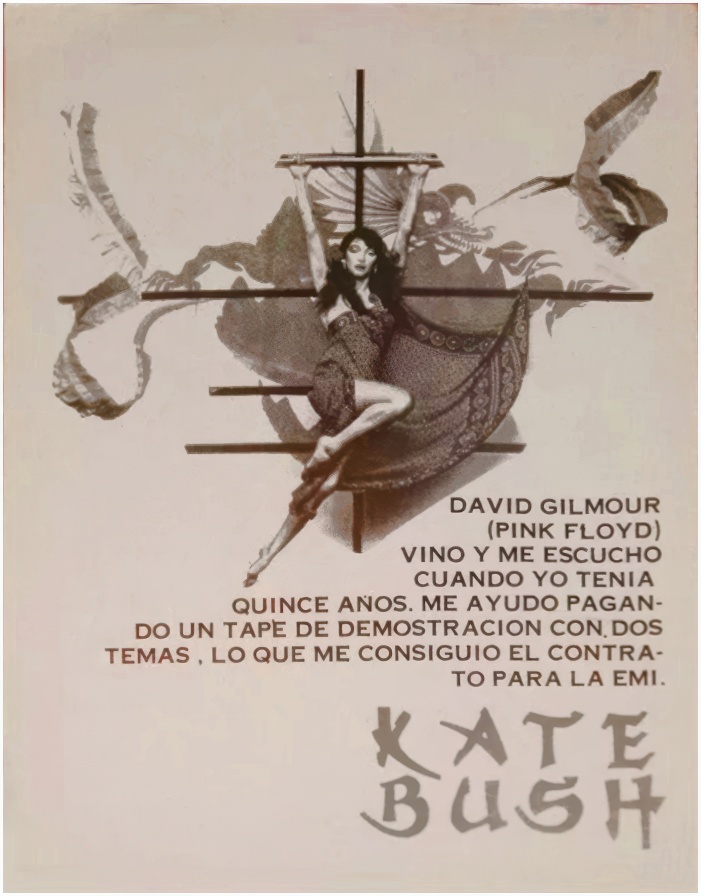'The Kick Inside' Booklet