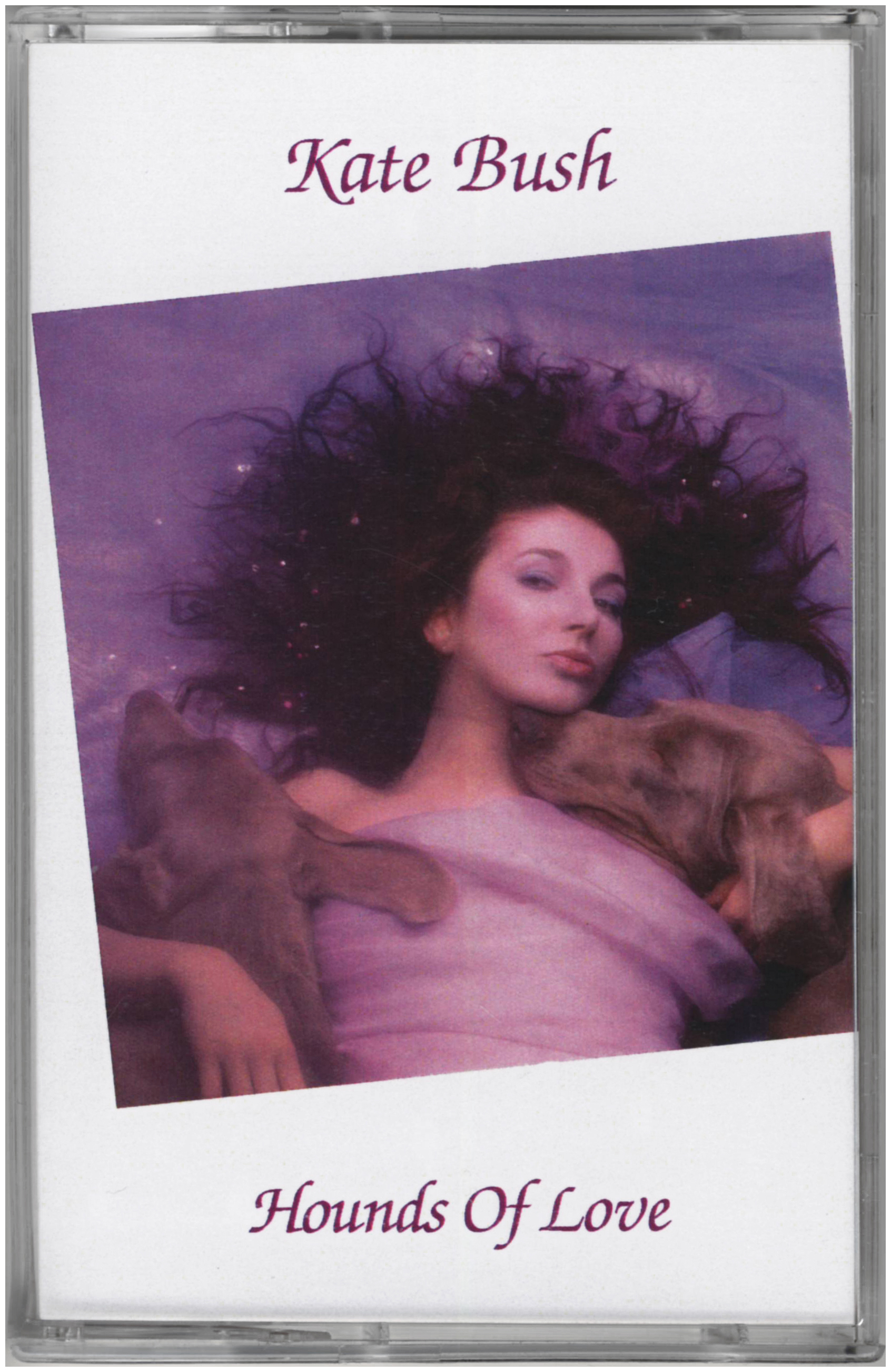 Hounds Of Love