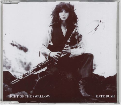 Night Of The Swallow