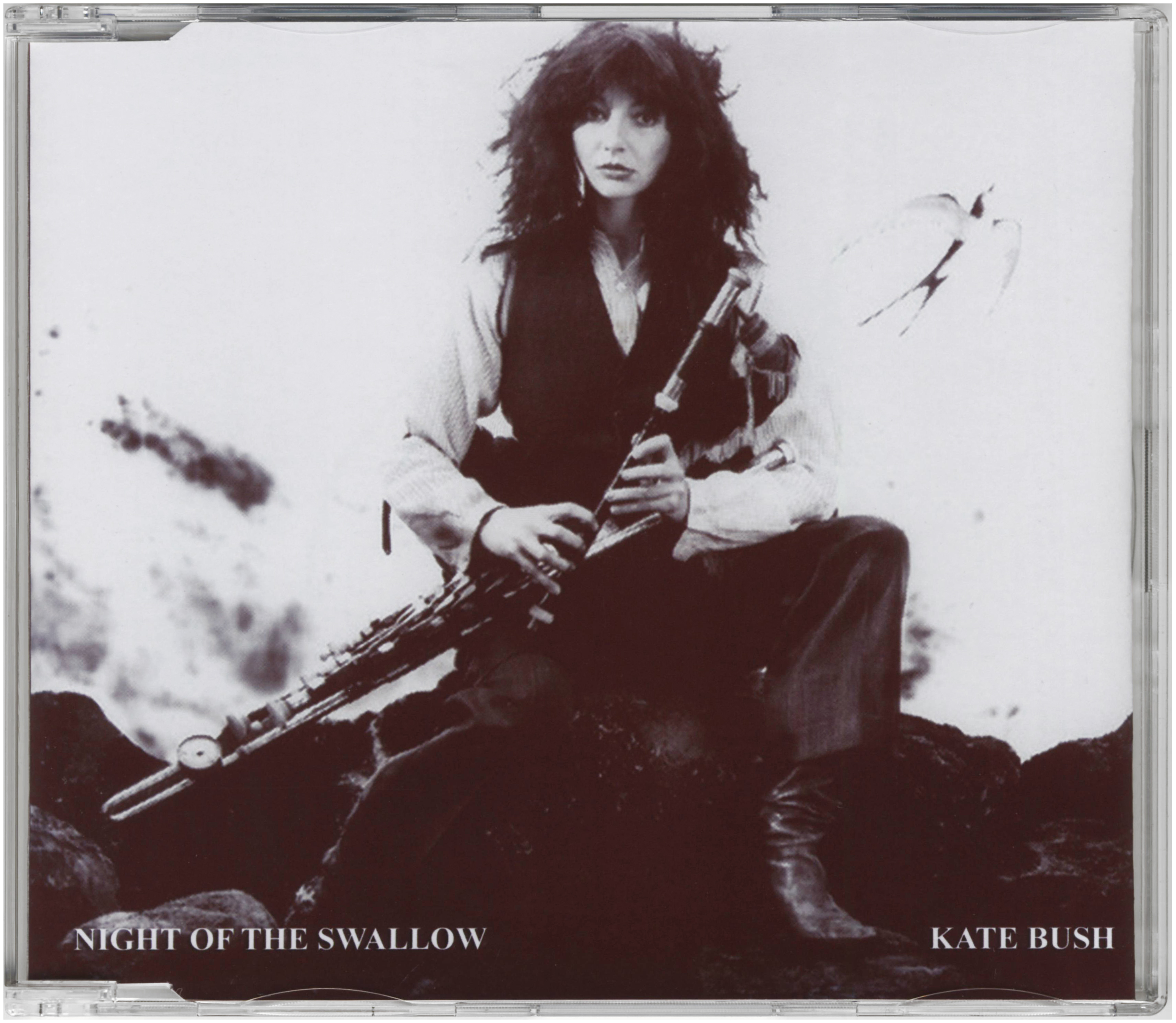 Night Of The Swallow