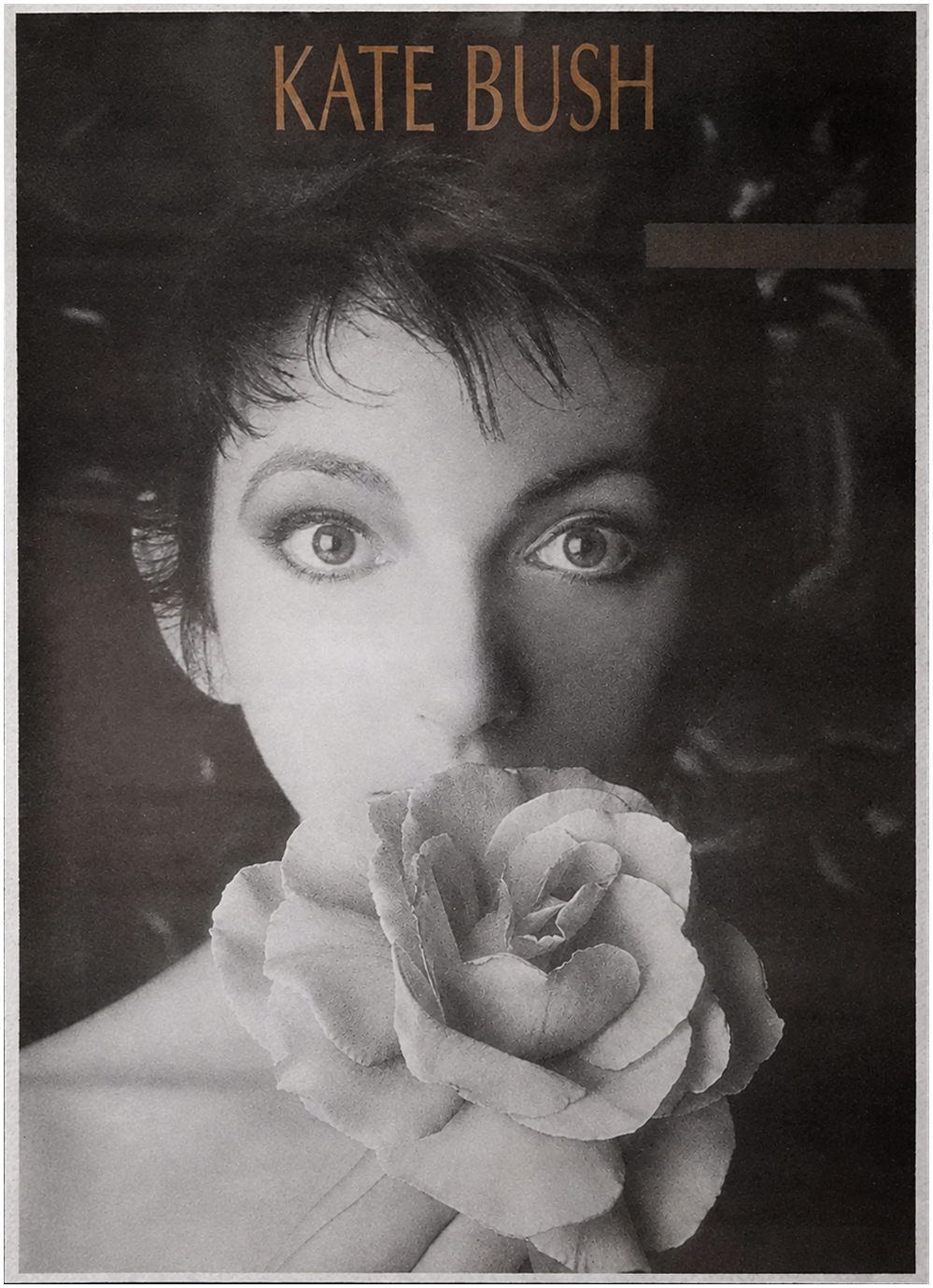 'The Sensual World' Album Poster