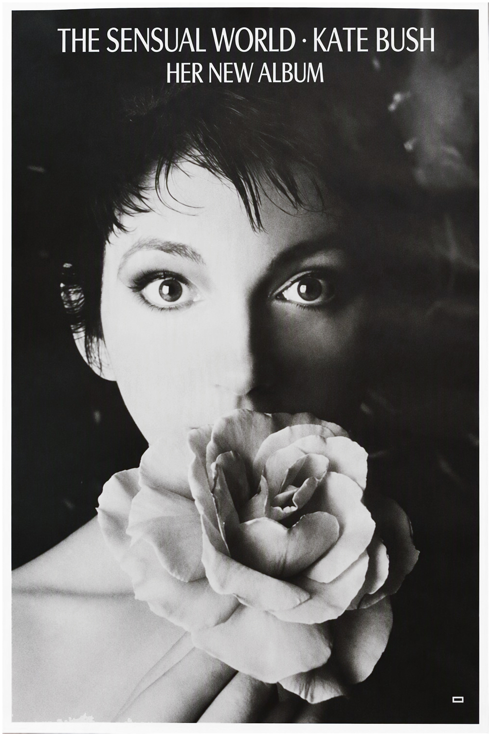 'The Sensual World' Album Poster