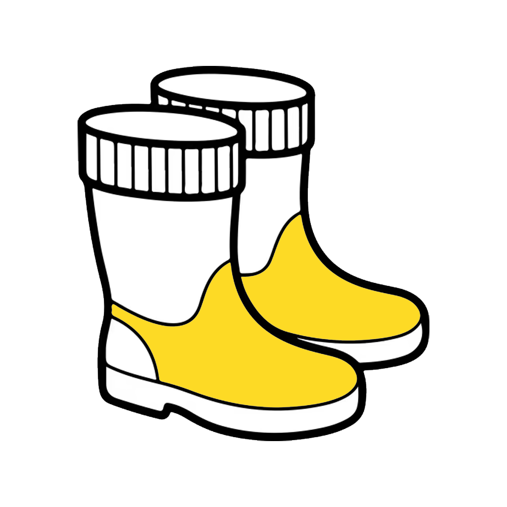 wellingtons