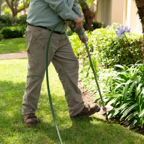 Arborist evaluation with customer Santa Barbara California