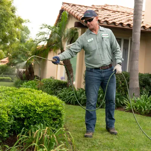 Arborist tree crew clearing driveway for fire insurance in Montecito California