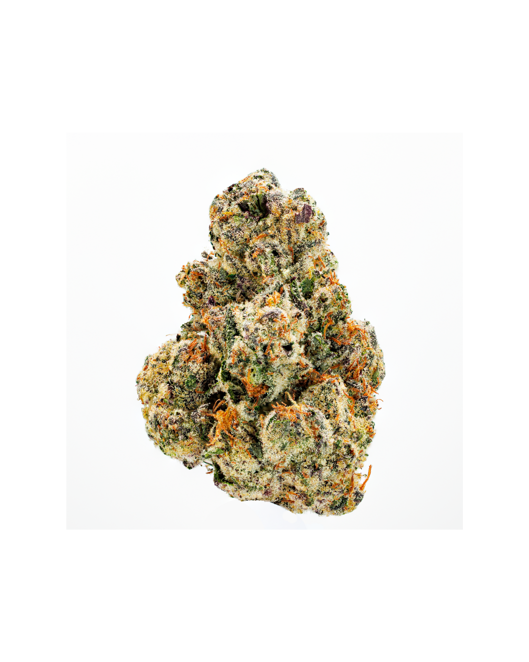 Umamii product jar next to a small bud of cannabis on a white seamless background