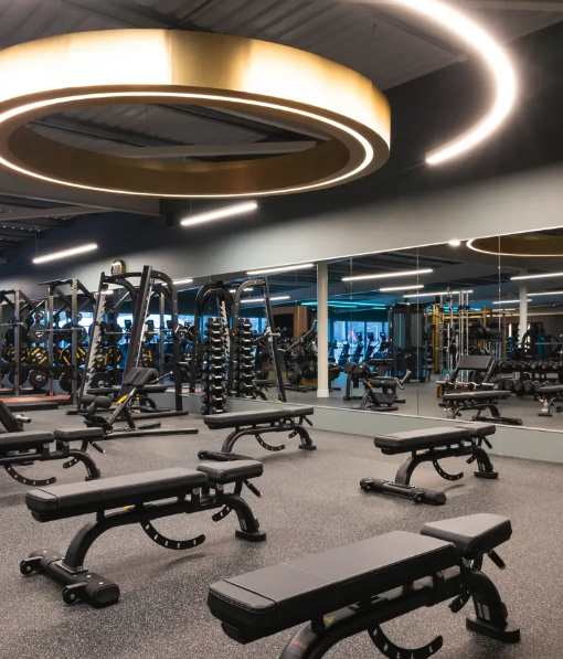 Free weights area at David Lloyd St Neots, showing the sprayed dark ceiling finish above the benches and mirrored wall