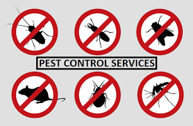 local pest control specialists