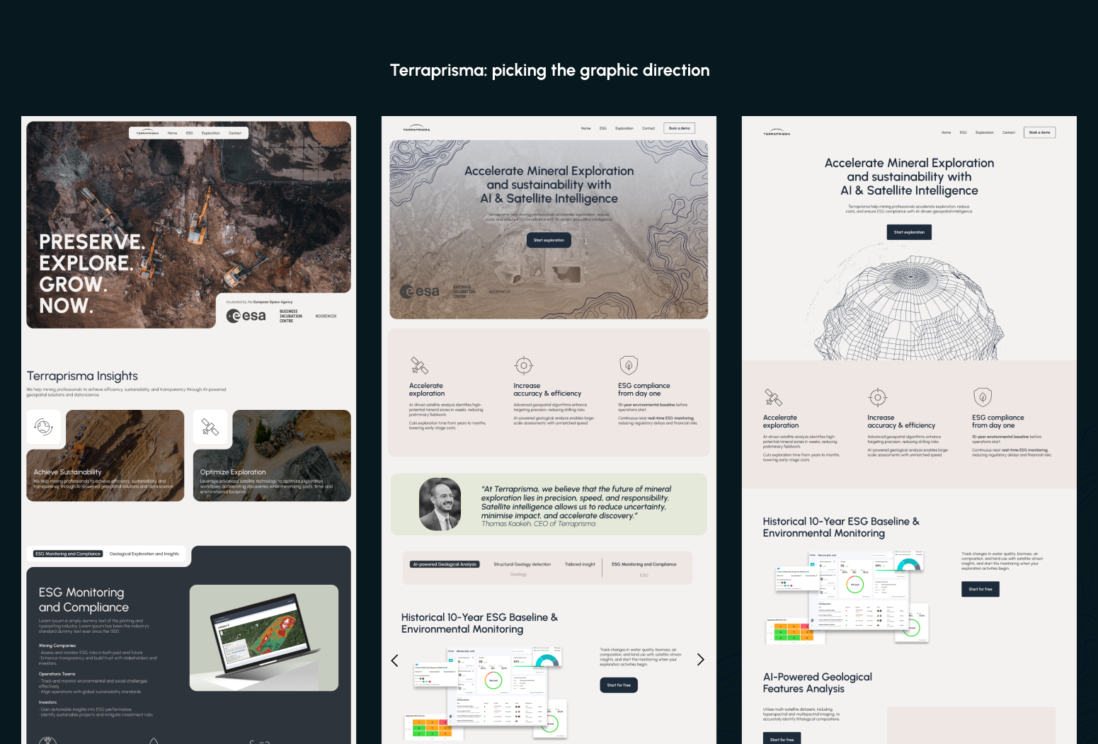 Terraprisma web design: artistic direction