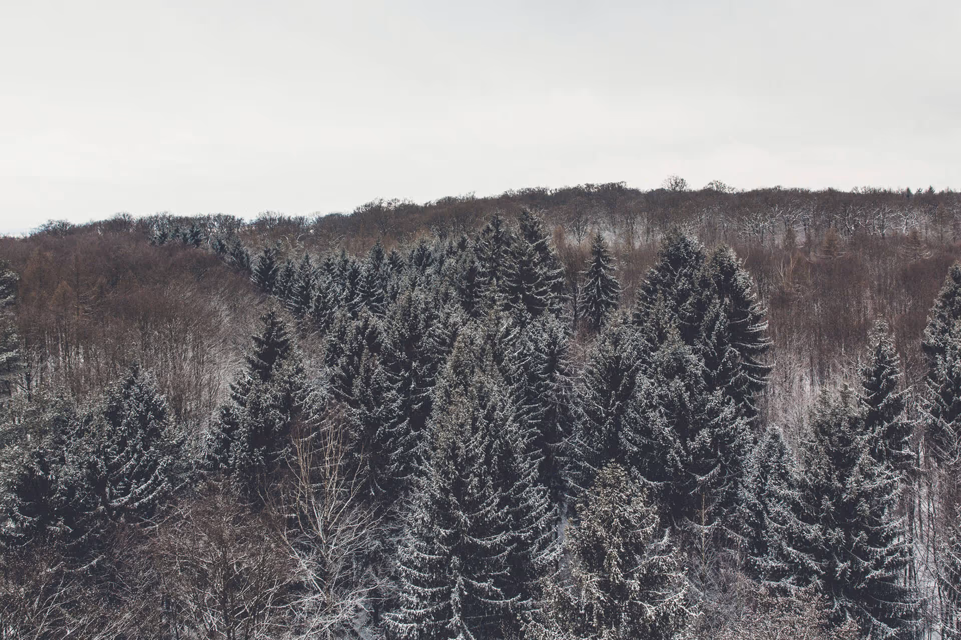 Mountains for camping