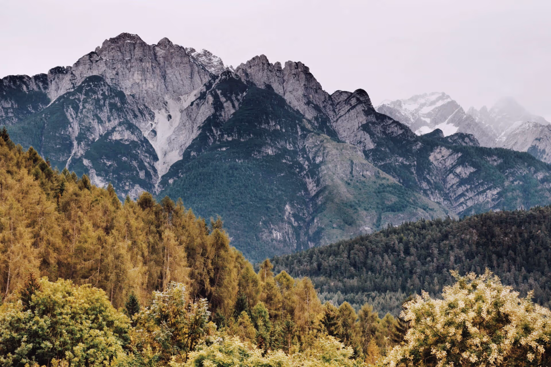 Forest and mountains for camping