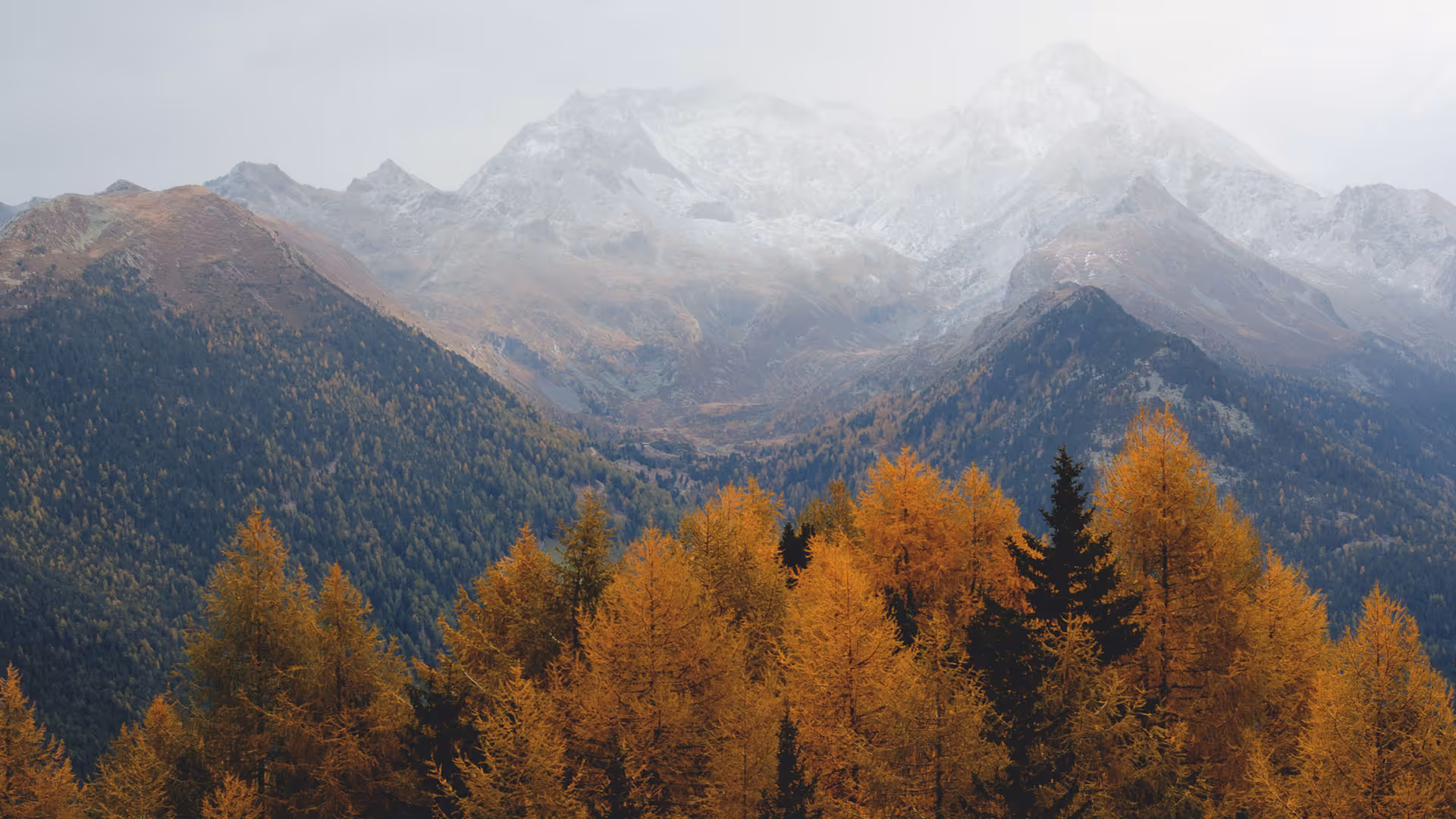 Contact Bend Teardrop