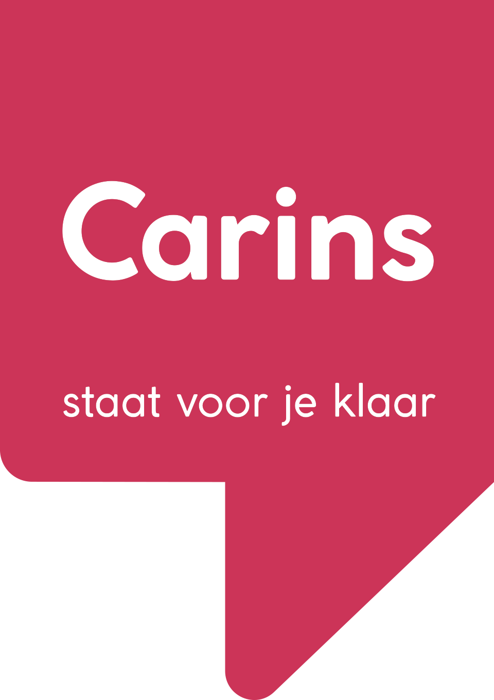 Organisatie Logo