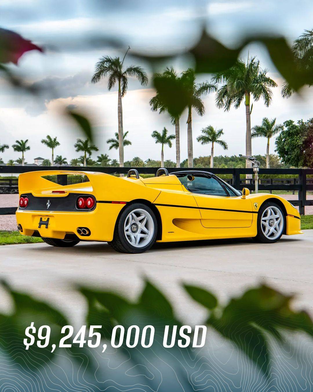 1995 Ferrari F50